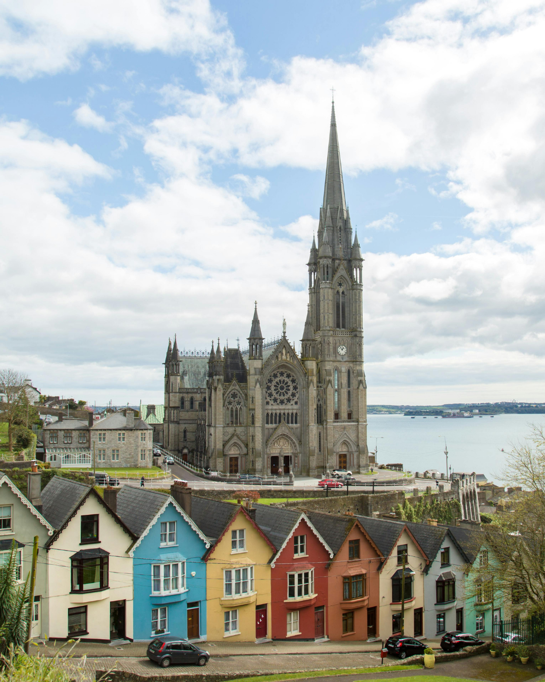 Cork
